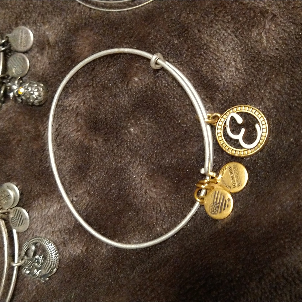 Bundle: 8 Alex & Ani Bangle Bracelet Set - image 8